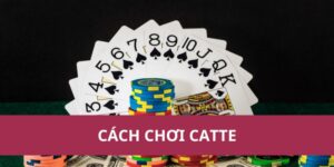 cách chơi catte